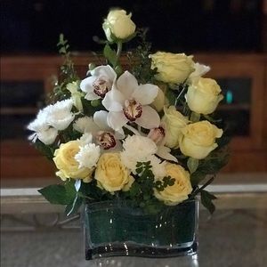 Meet your Posher, Tee